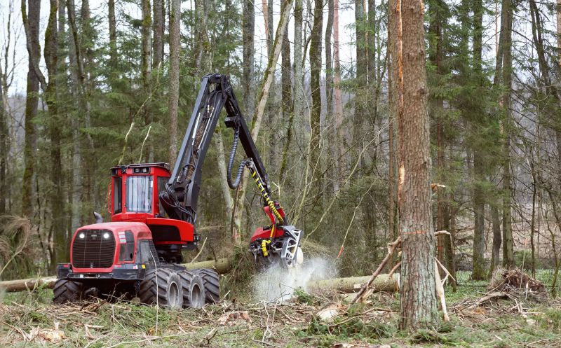 Forestry Mulcher Service