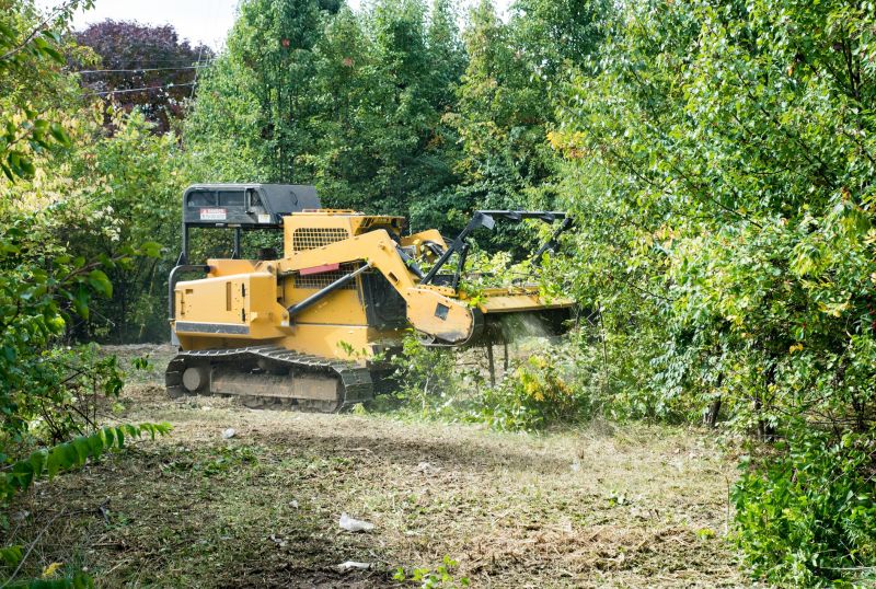 Forestry Mulcher Service