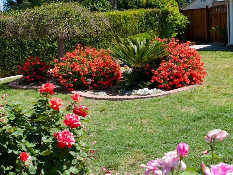 Commercial Mulching in Honolulu, HI