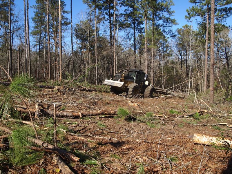 Forestry Mulcher Service