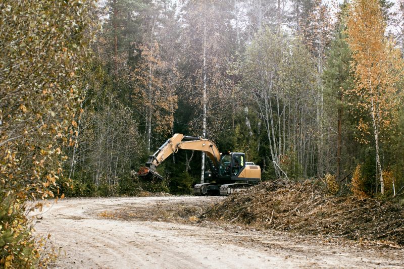 Forestry Mulcher Service