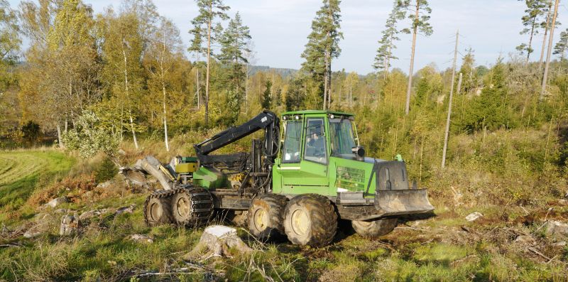 Forestry Mulcher Service