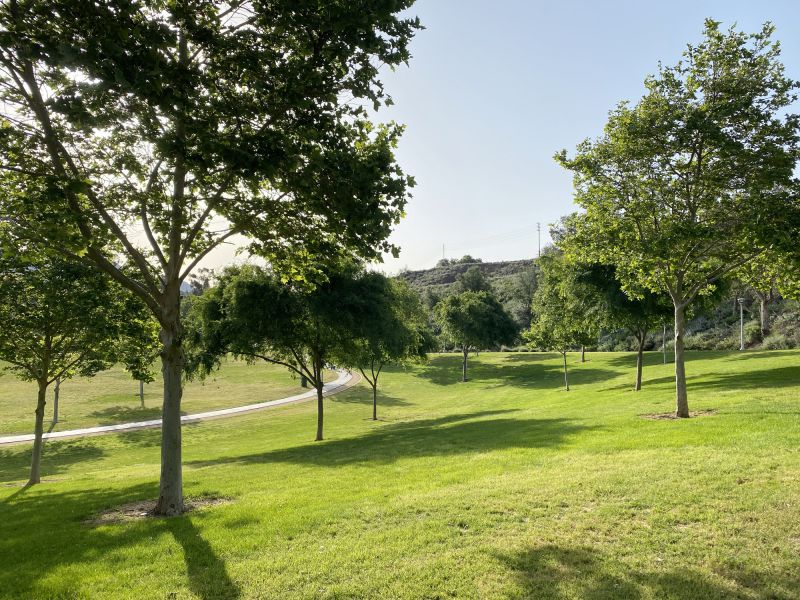 Mature Tree Integration