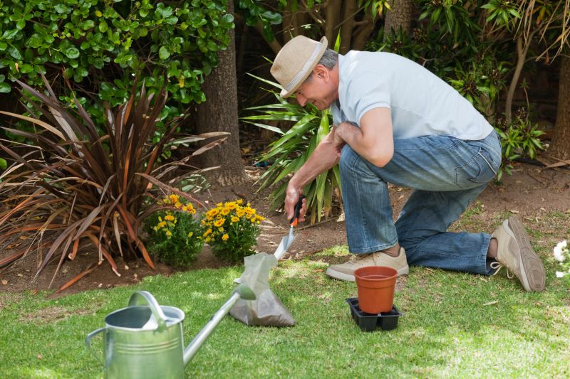 Plant Selection and Placement